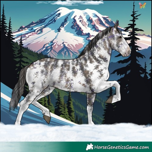 Horse Color:Plaid Brown Sabino