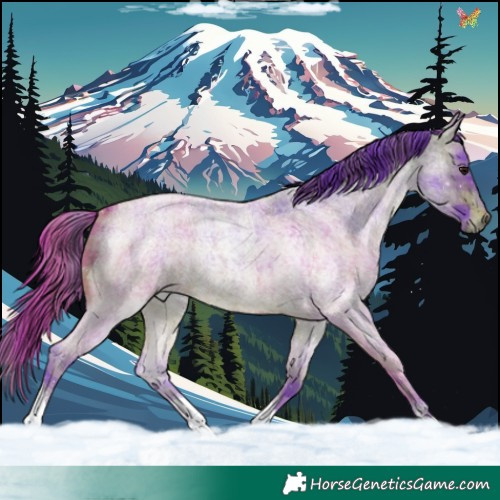 Horse Color:Watercolor Plaid  Brown Roan Tobiano 