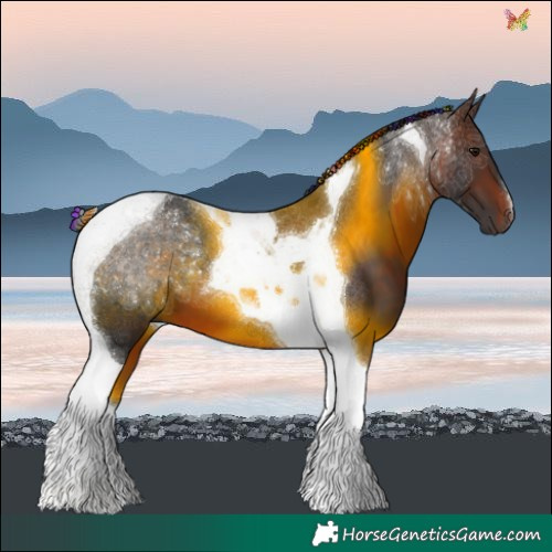 Horse Color:Painted Brown Tobiano 