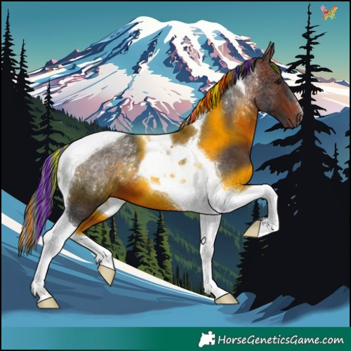 Horse Color:Painted Brown Tobiano 