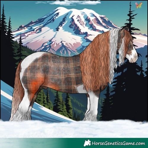 Horse Color:Plaid  Liver Chestnut Splash Tobiano Rabicano 