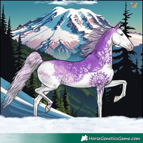 Horse Color:Watercolor Silver Brown Splash 