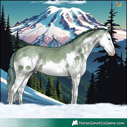 Horse Color:Watercolor Sable Champagne Splash