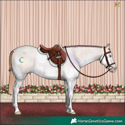 Horse Color:Smoky Grullo Pearl Splash 