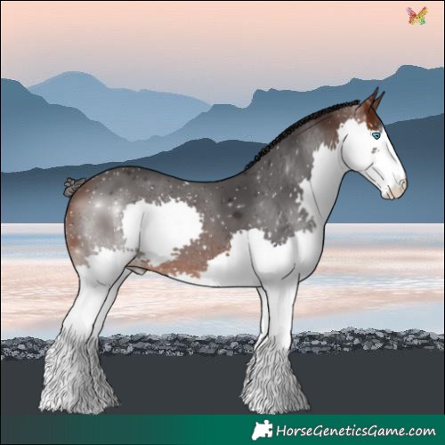 Horse Color:Brown Splash 