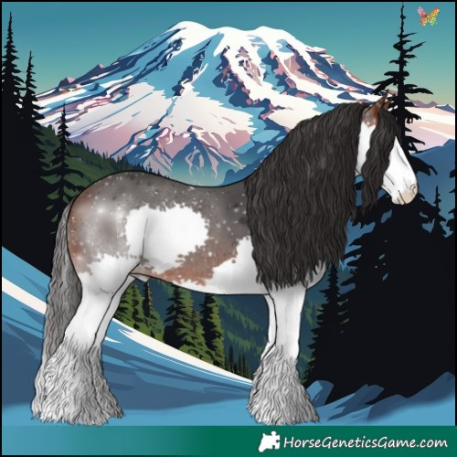 Horse Color:Brown Splash 
