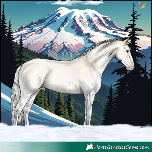 Horse Color:Silver Buckskin Roan Pearl Splash 