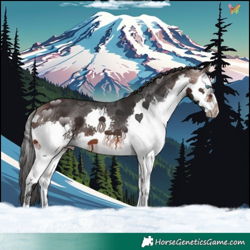 Horse Color:Brown Splash 