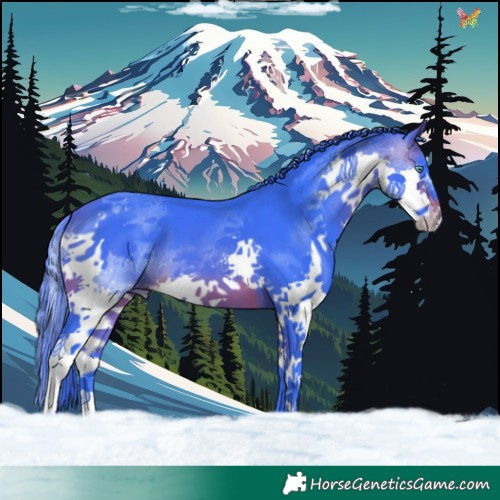 Horse Color:Watercolor Brown Splash 