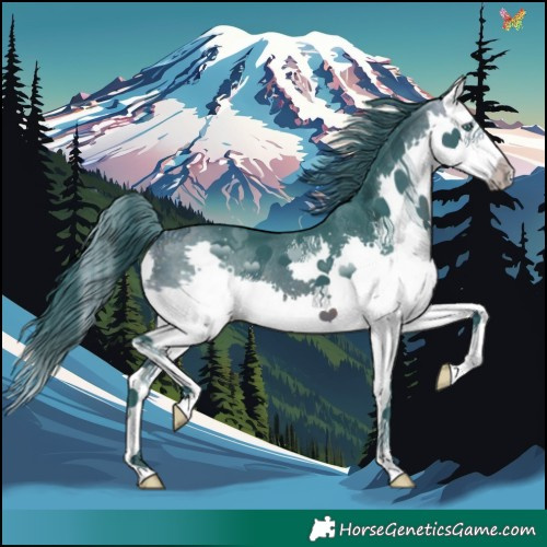 Horse Color:Watercolor Brown Splash 