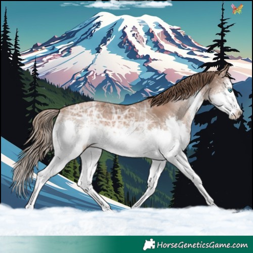 Horse Color:White Spotted Black Ice Pearl Splash 