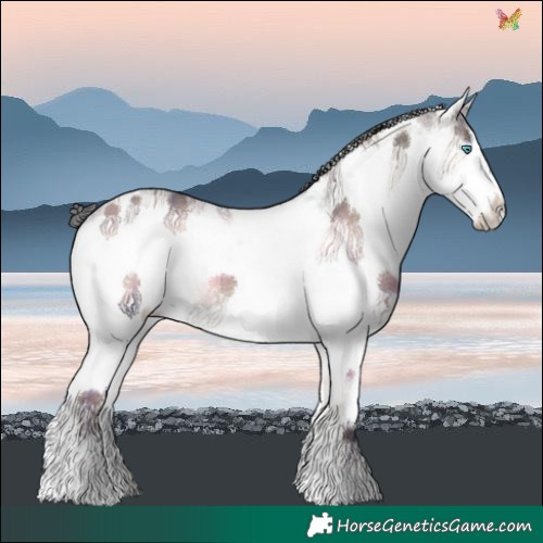 Horse Color:Plaid  White Spotted Blue Onyx Splash 