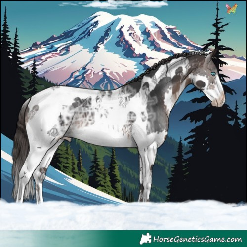 Horse Color:Brown Ice Splash Tobiano Varnish 