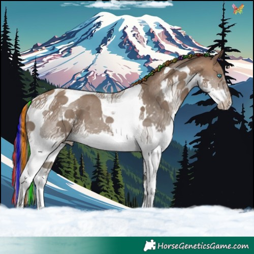 Horse Color:Painted Sable Champagne Splash Tobiano Varnish 