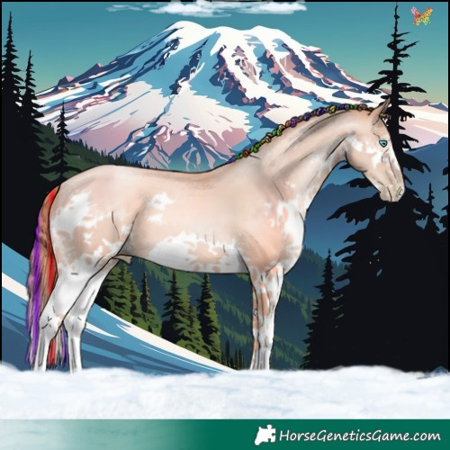 Horse Color:Painted Classic Champagne Pearl Splash