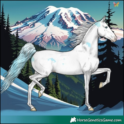 Horse Color:Watercolor Brown Splash Tobiano 