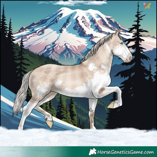 Horse Color:Plaid Silver Brown Pearl Dun Splash