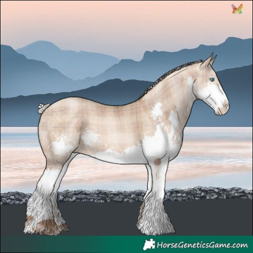 Horse Color:Plaid  Silver Brown Pearl Dun Splash 
