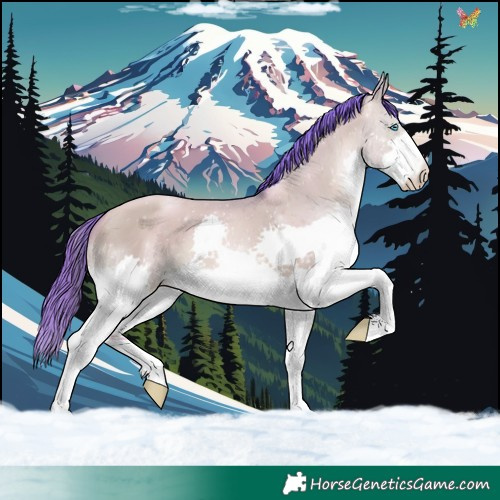 Horse Color:Watercolor Sable Champagne Pearl Dun Splash