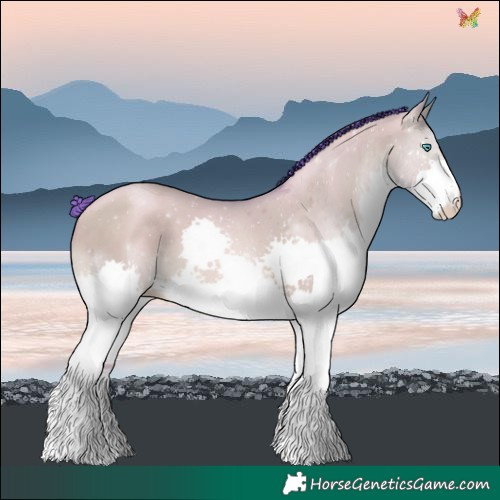 Horse Color:Watercolor Sable Champagne Pearl Dun Splash 