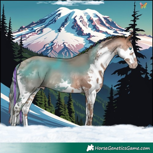 Horse Color:Painted Sable Champagne Splash 
