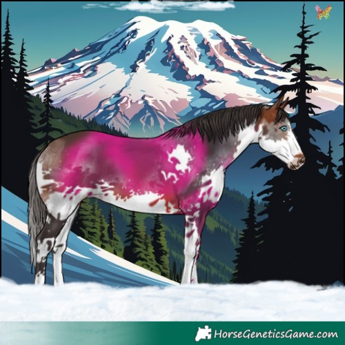 Horse Color:Brown Splash 