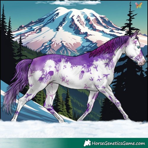 Horse Color:Watercolor Brown Splash