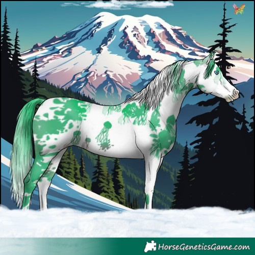 Horse Color:Watercolor Brown Splash Tobiano 