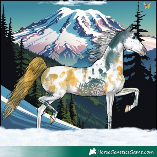 Horse Color:Watercolor Brown Splash Tobiano