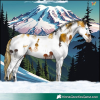 Horse Color:Brown Splash Tobiano