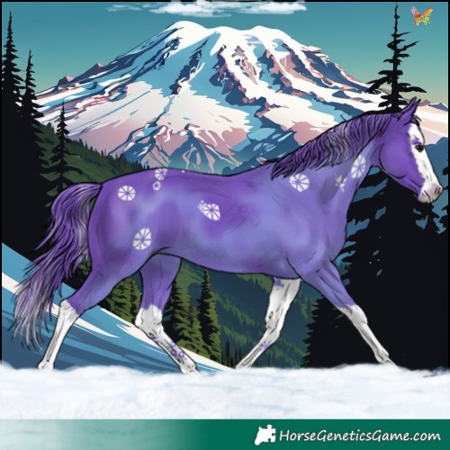 Horse Color:Watercolor Smoky Black Splash