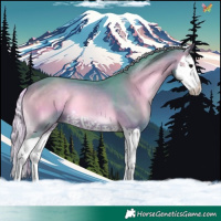 Horse Color:Watercolor Silver Brown Onyx Splash 