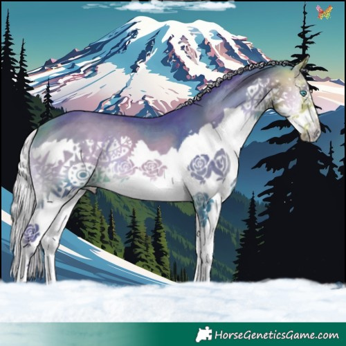 Horse Color:Watercolor Silver Buckskin Onyx Splash