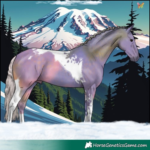 Horse Color:Watercolor Silver Black Tobiano 