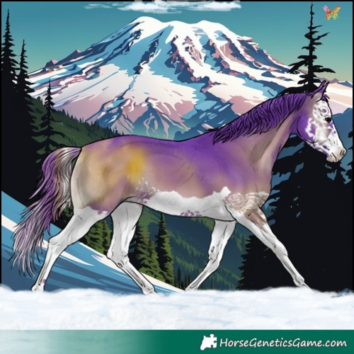 Horse Color:Watercolor Blue Onyx Splash