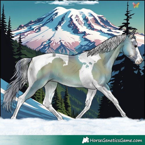 Horse Color:Watercolor Smoky Blue Onyx Splash Tobiano 
