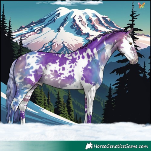 Horse Color:Watercolor White Spotted Buckskin Splash 