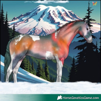 Horse Color:Watercolor Smoky Blue Onyx Tobiano Rabicano 