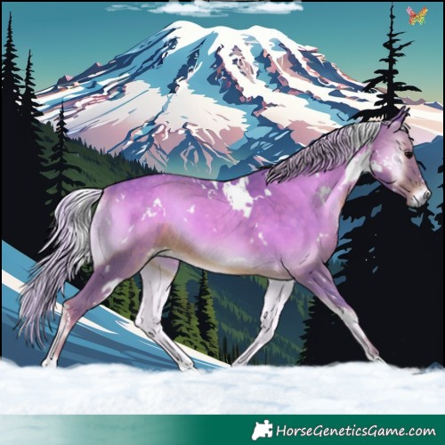 Horse Color:Watercolor White Spotted Silver Blue Onyx 