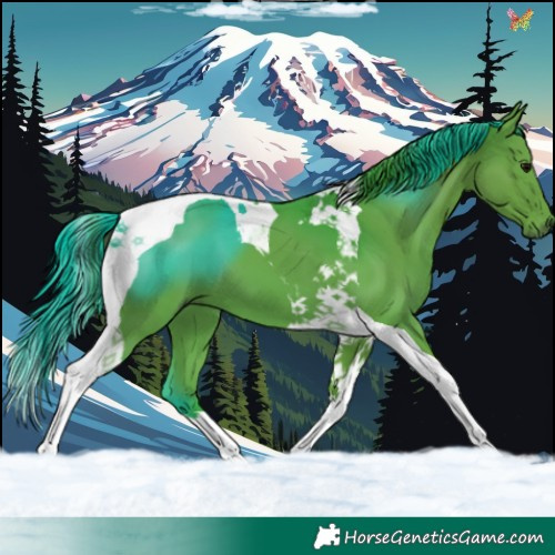 Horse Color:Watercolor Black Tobiano 