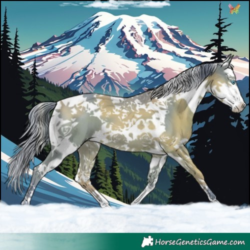 Horse Color:Watercolor Smoky Black Splash Tobiano