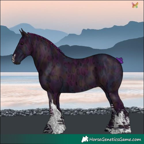 Horse Color:Watercolor White Spotted Midnight Smoky Black Ice 