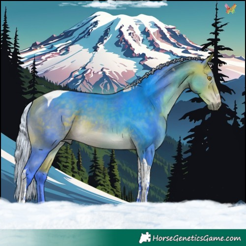 Horse Color:Watercolor Silver Buckskin Tobiano