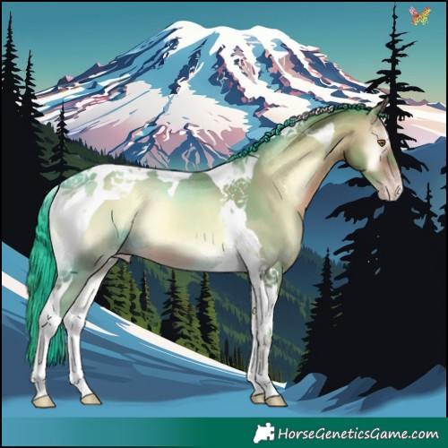 Horse Color:Watercolor Sable Champagne Onyx Tobiano