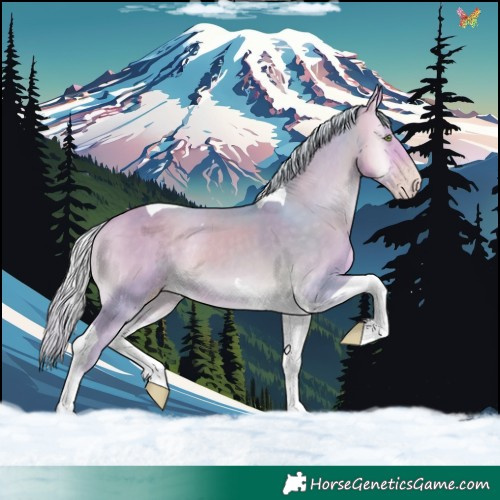 Horse Color:Watercolor Silver Sable Cream Champagne Onyx Tobiano Rabicano