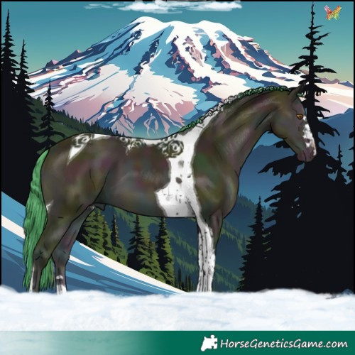 Horse Color:Watercolor Midnight Amber Champagne Onyx Tobiano 