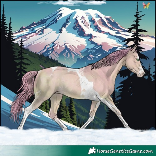 Horse Color:Watercolor Amber Cream Champagne Tobiano Rabicano 