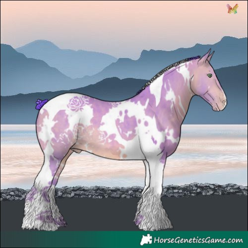 Horse Color:Watercolor White Spotted Sable Champagne Tobiano 
