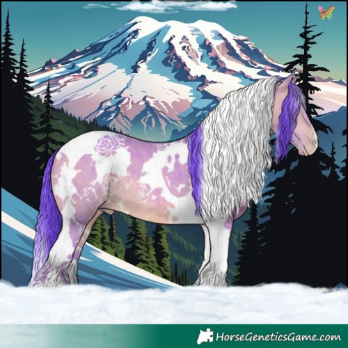 Horse Color:Watercolor White Spotted Sable Champagne Tobiano 