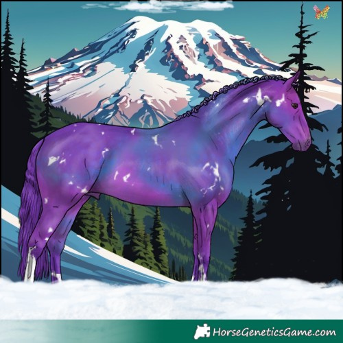 Horse Color:Watercolor White Spotted Brown Tobiano